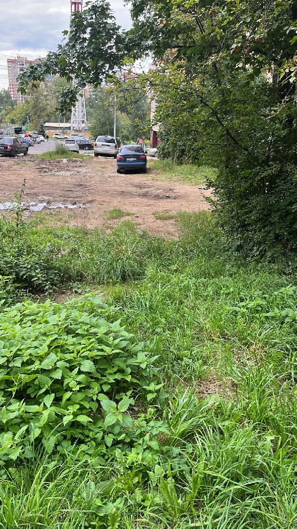 пушкинский городской округ, выездная администрация, ивантеевка, благоустройство,