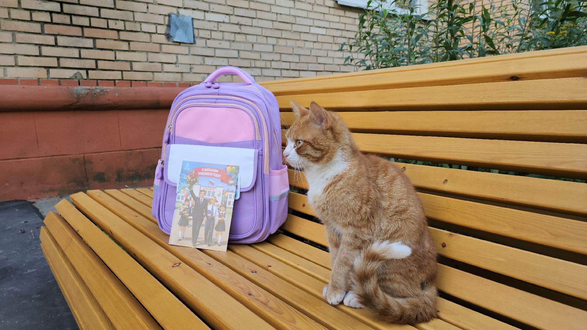 луховицы, первое сентября, собери ребёнка в школу,