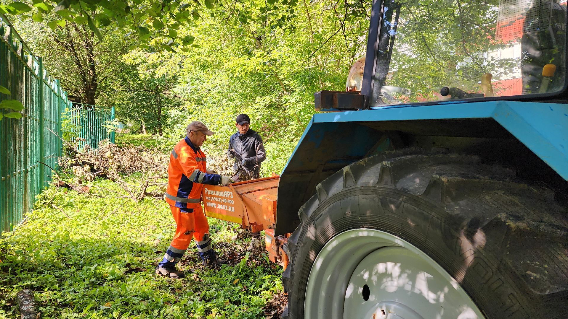 истра, благоустройство, аварийные деревья,