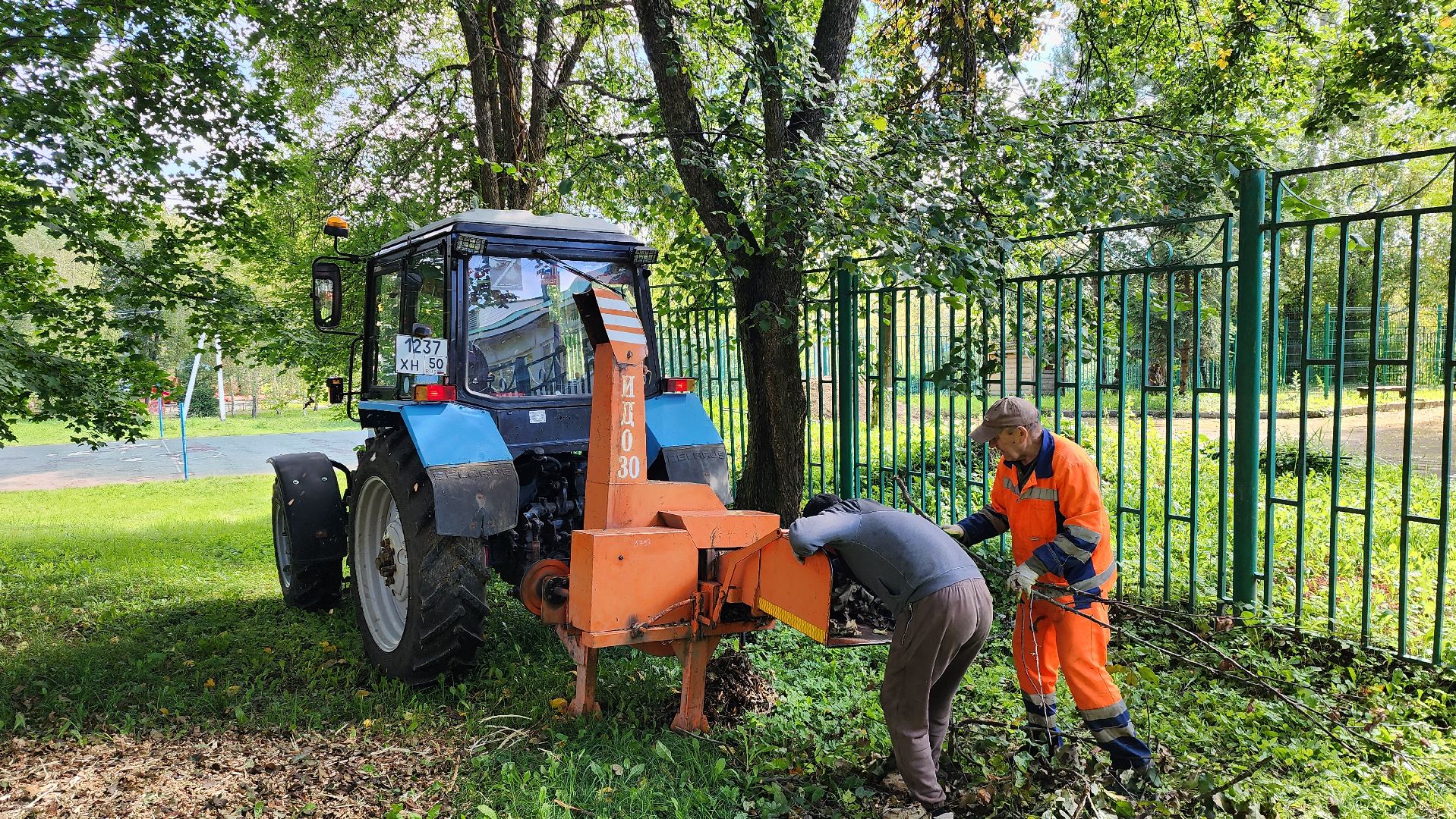 истра, благоустройство, аварийные деревья,