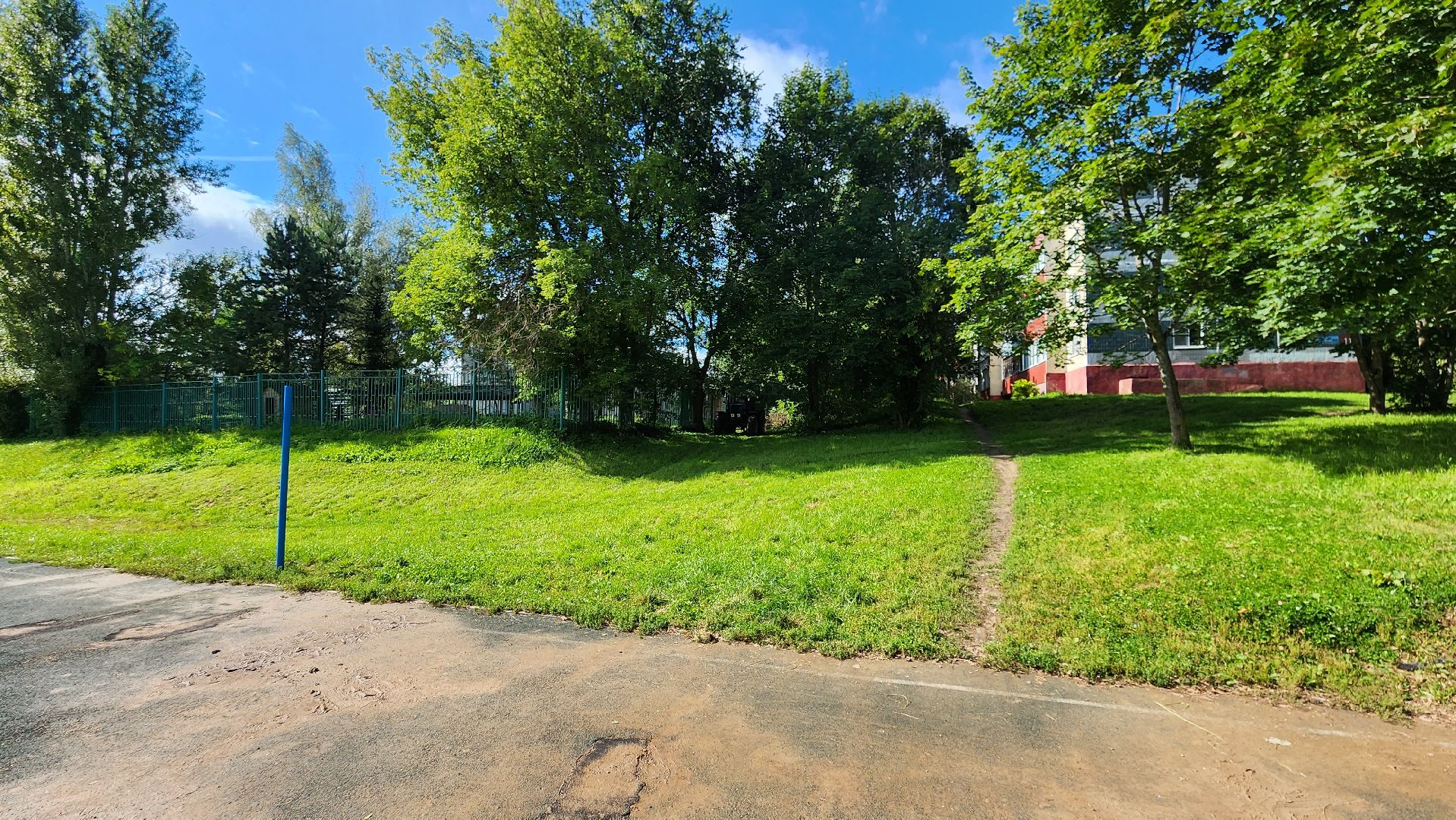 истра, благоустройство, аварийные деревья,