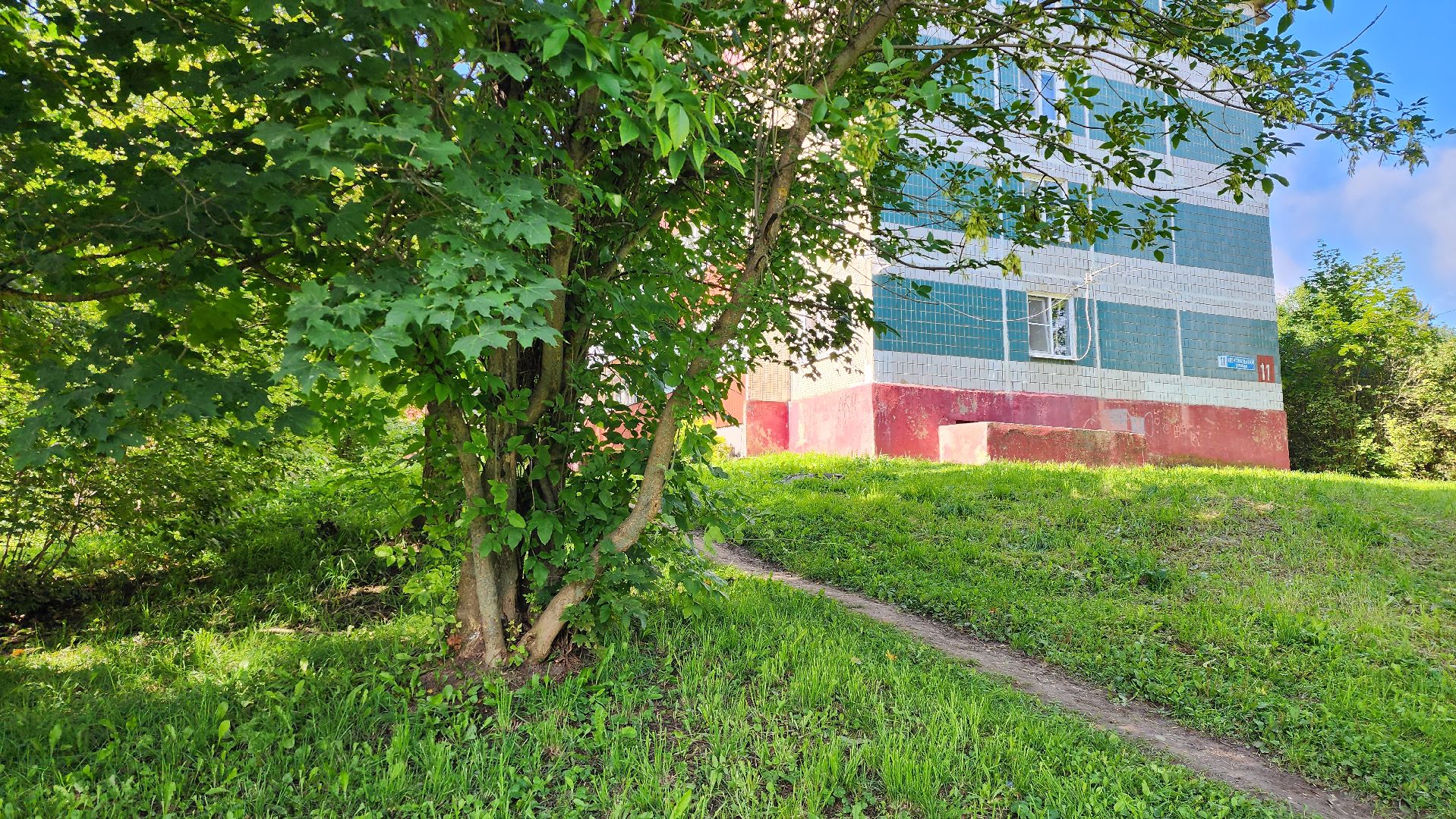 истра, благоустройство, аварийные деревья,