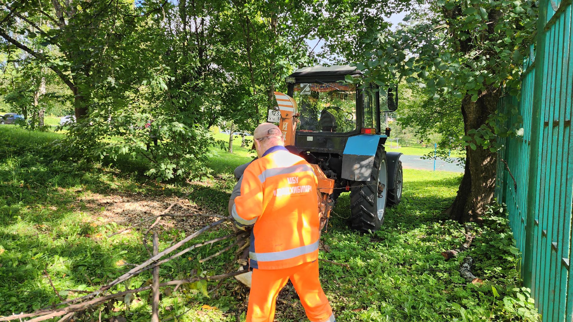 истра, благоустройство, аварийные деревья,