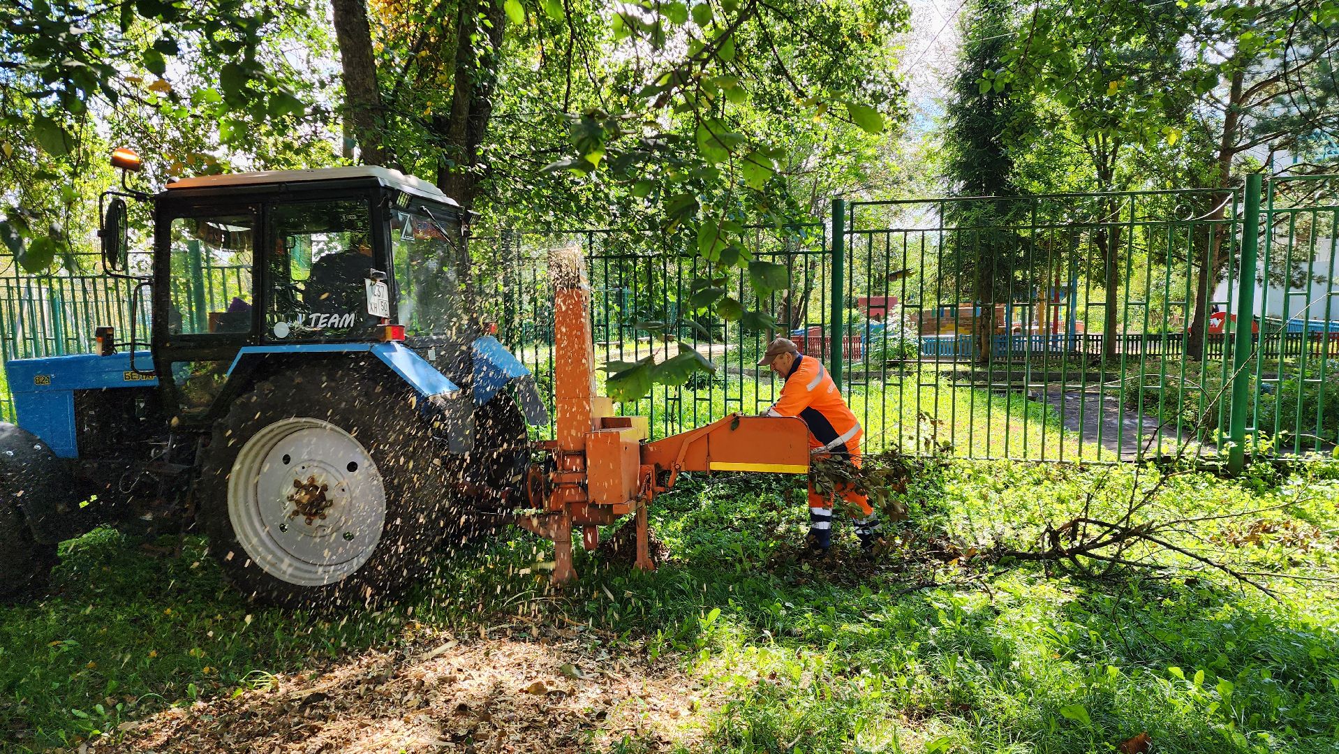 истра, благоустройство, аварийные деревья,