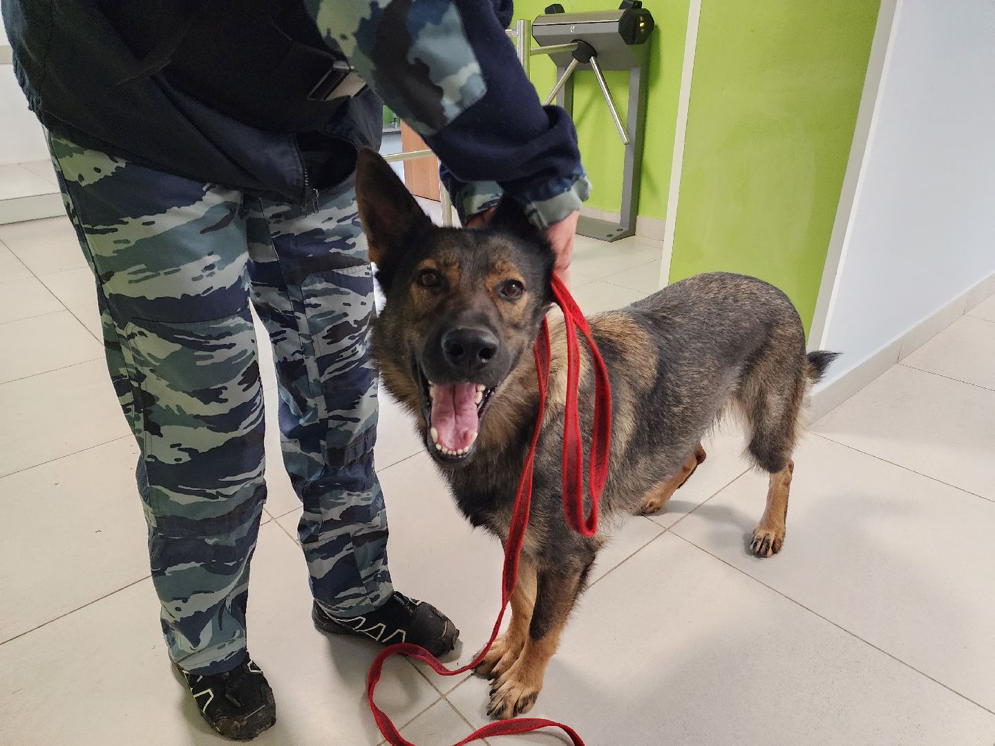 солнечногорск, безопасность , антитеррористическая безопасность, дети, школа,