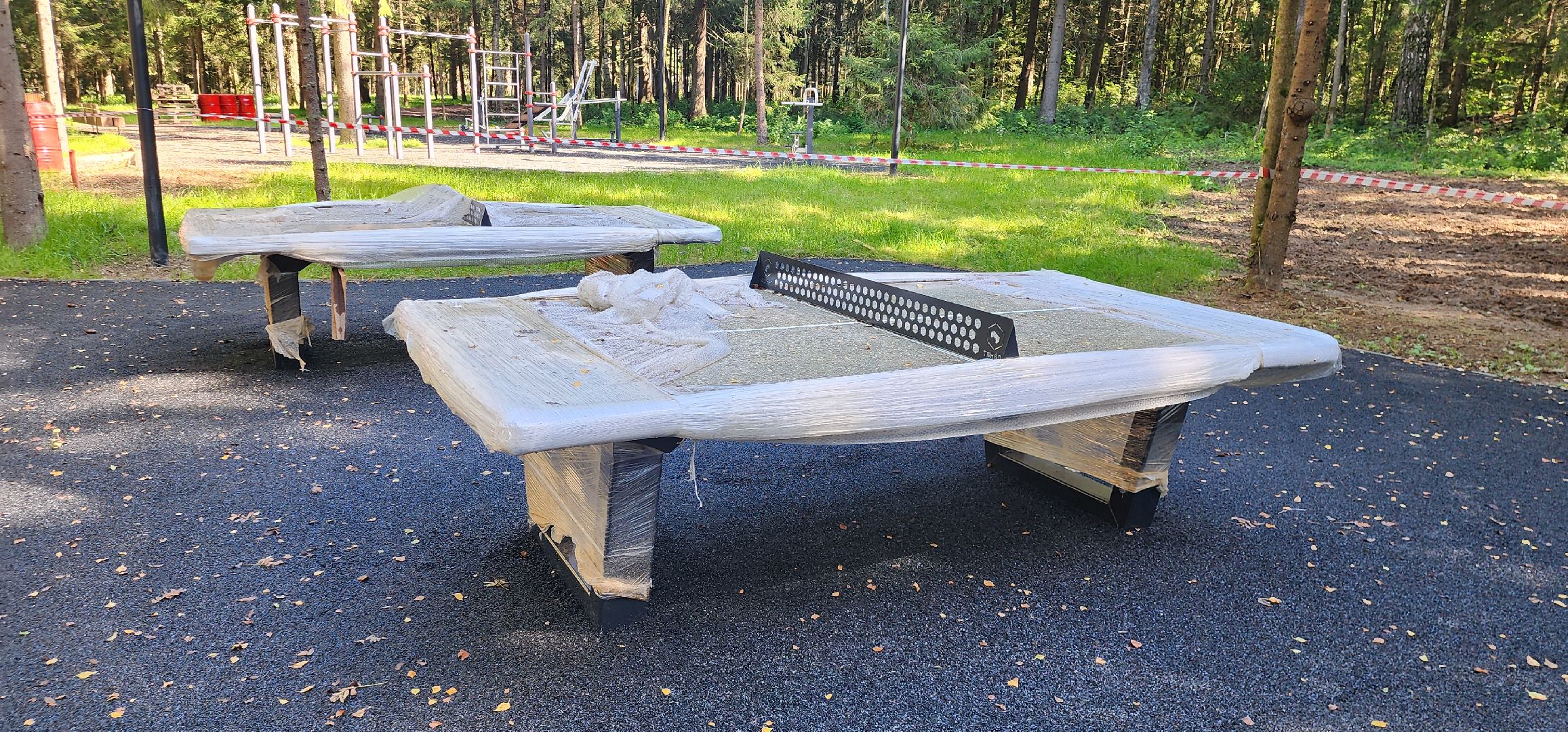 Истра, Лесопарк, Благоустройство, Соколка,