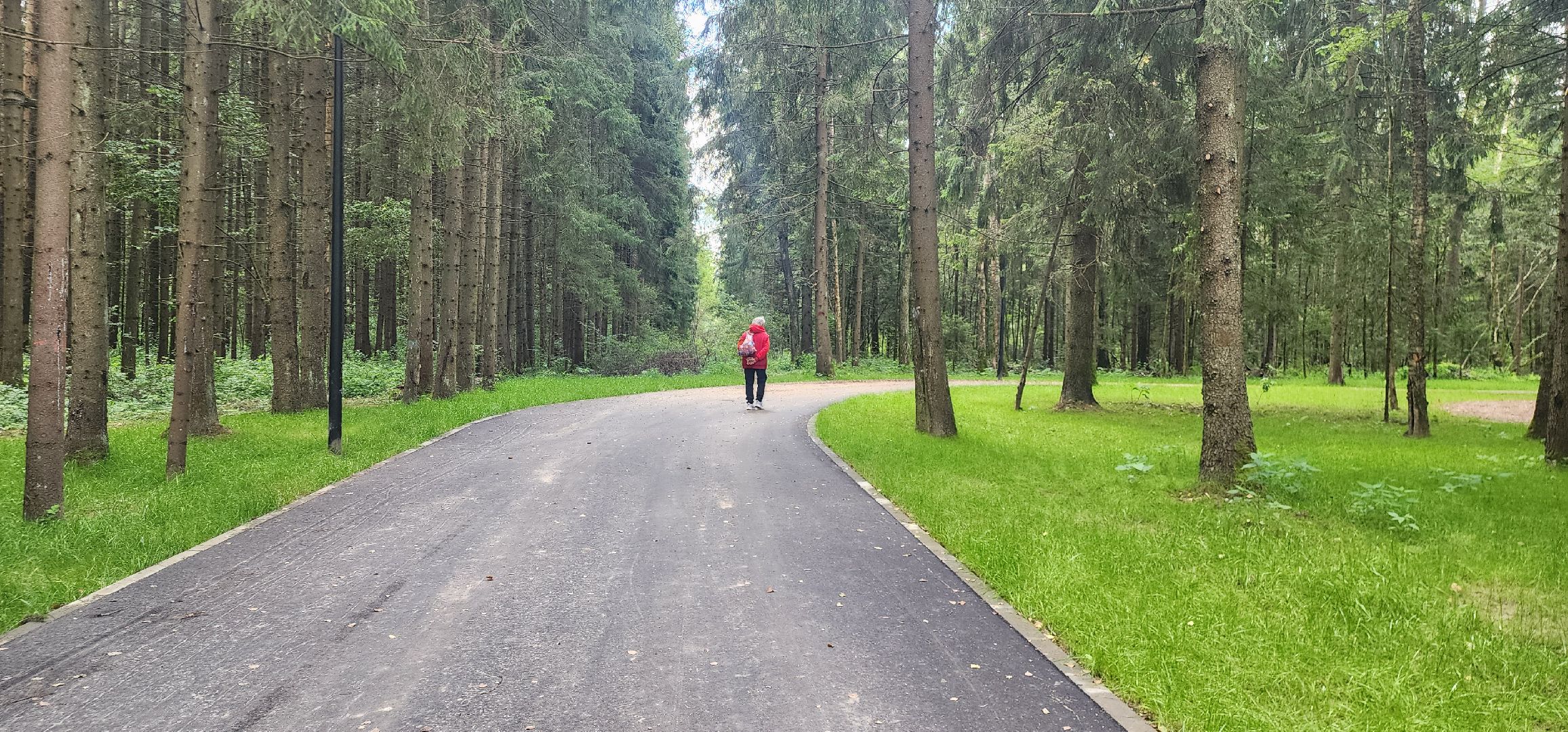 Истра, Лесопарк, Благоустройство, Соколка,