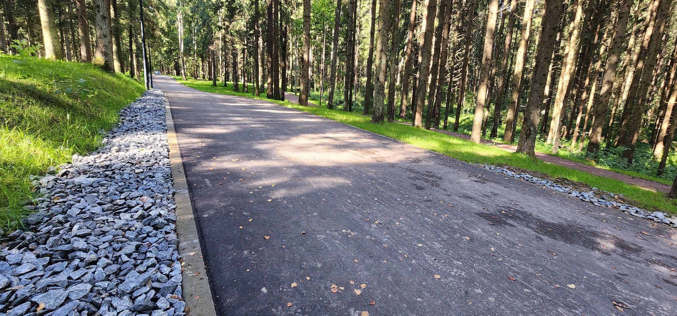 Истра, Лесопарк, Благоустройство, Соколка,