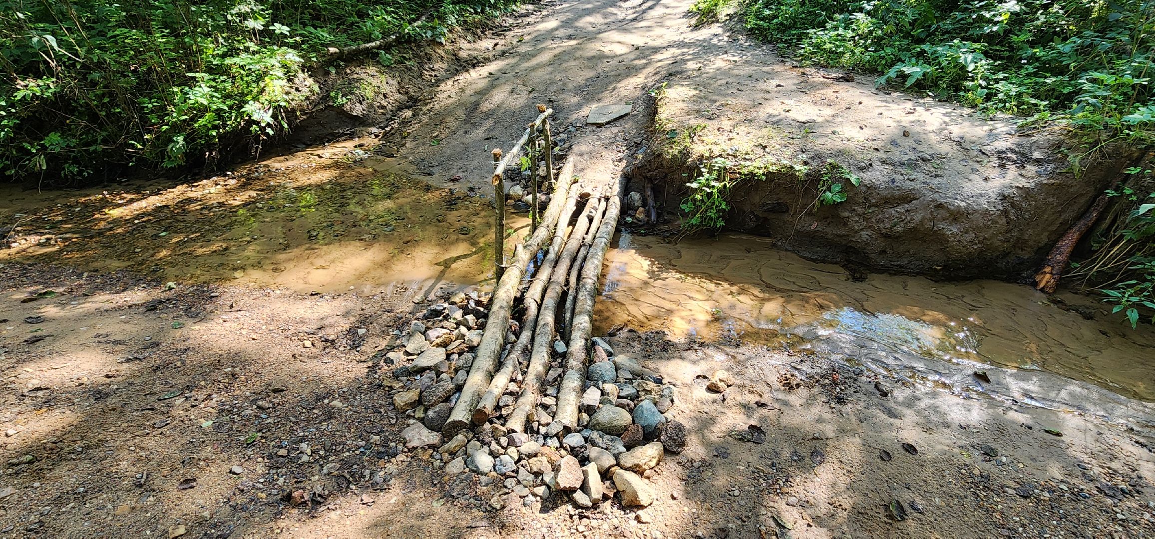 Истра, Лесопарк, Благоустройство, Соколка,