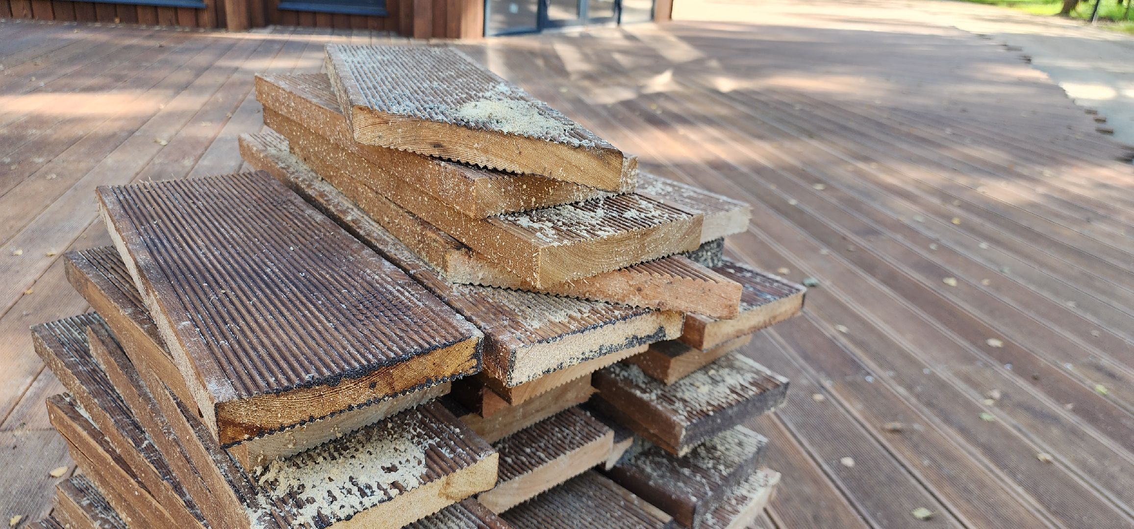 Истра, Лесопарк, Благоустройство, Соколка,