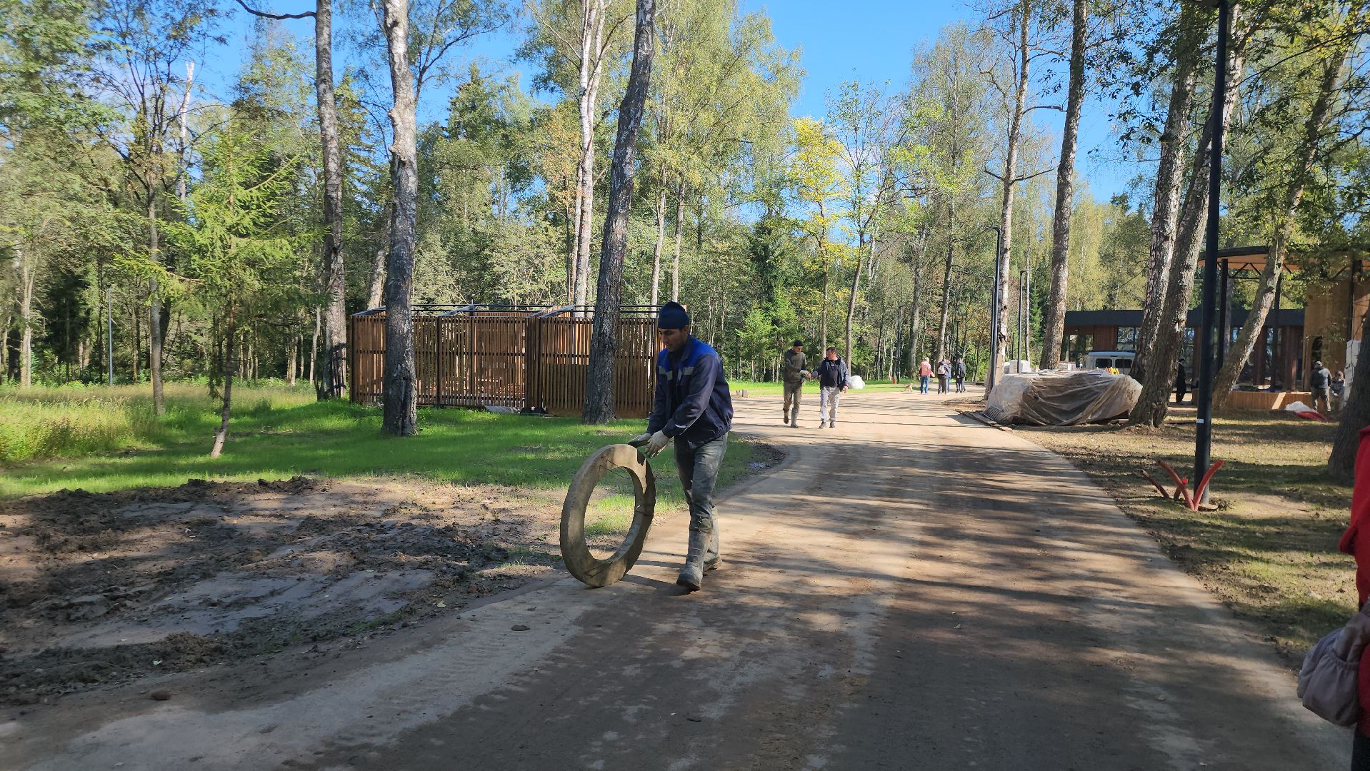 Истра, Лесопарк, Благоустройство, Соколка,