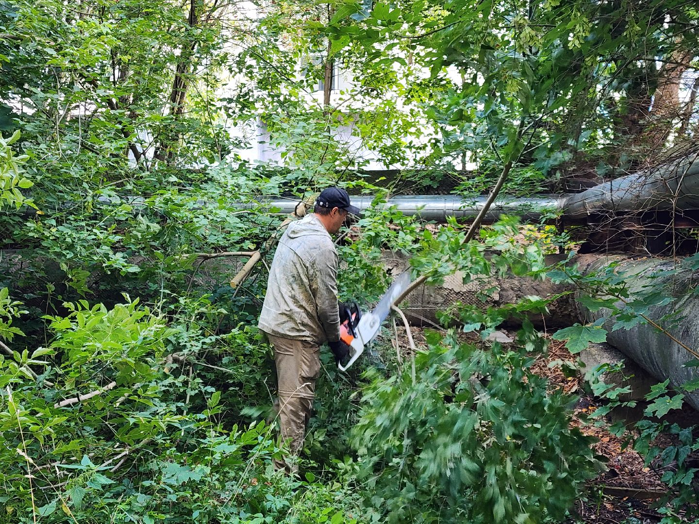 сергиево-посадский городской округ, хотьково, благоустройство, опиловка деревьев, уборка територии,