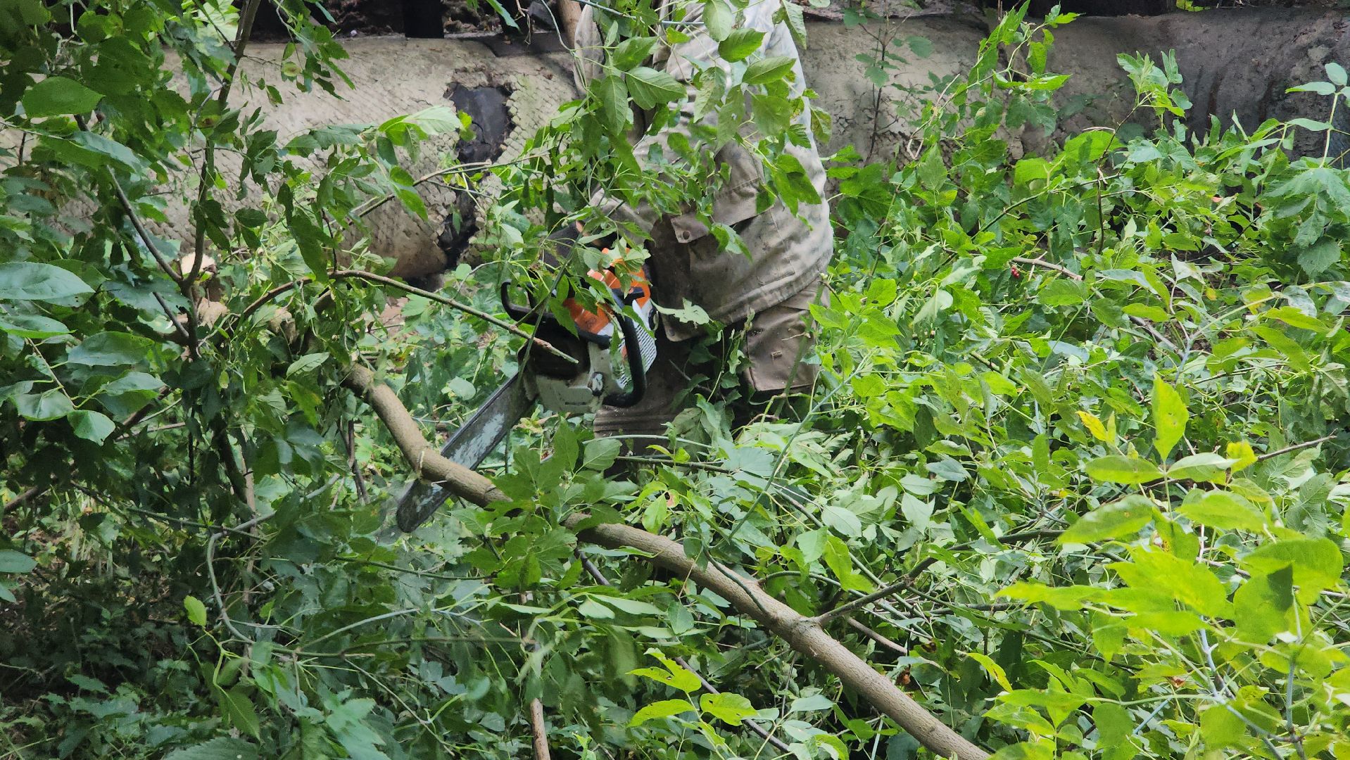 сергиево-посадский городской округ, хотьково, благоустройство, опиловка деревьев, уборка територии,