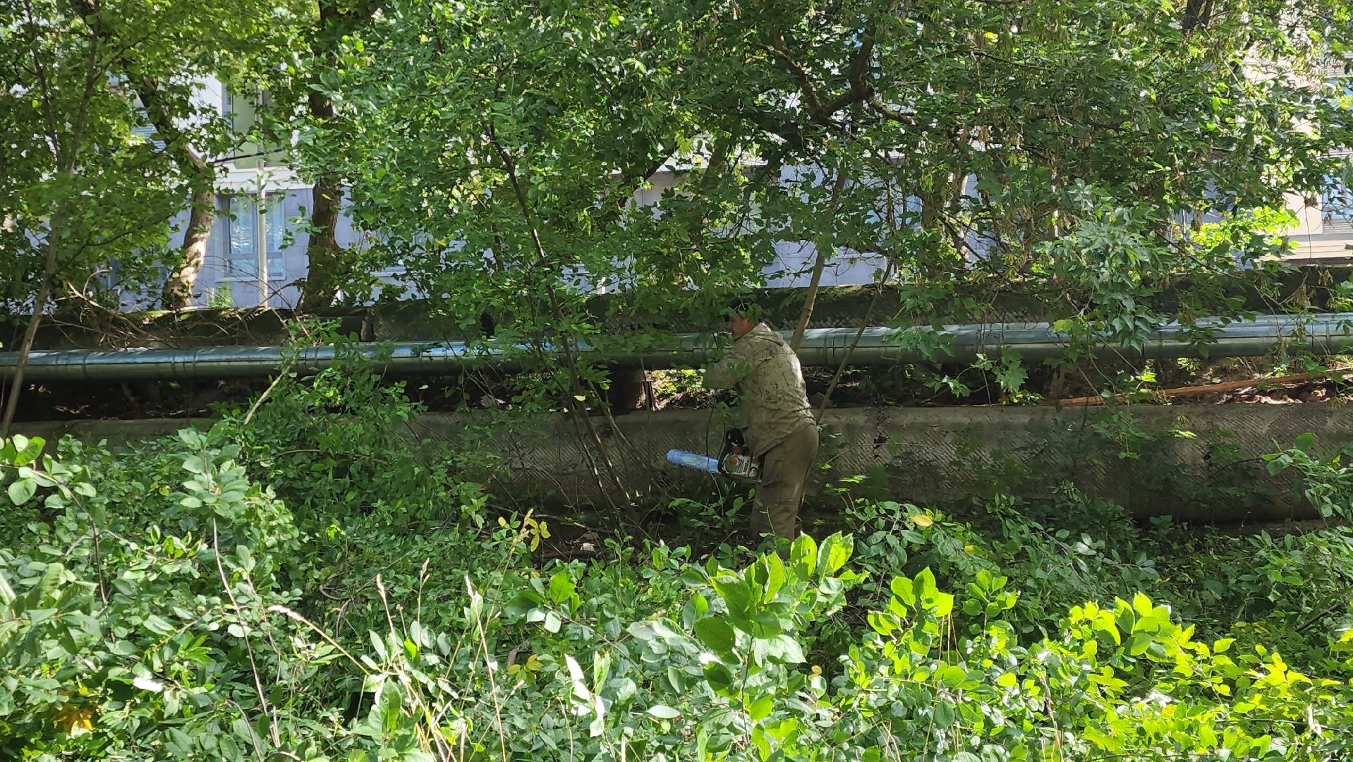 сергиево-посадский городской округ, хотьково, благоустройство, опиловка деревьев, уборка територии,