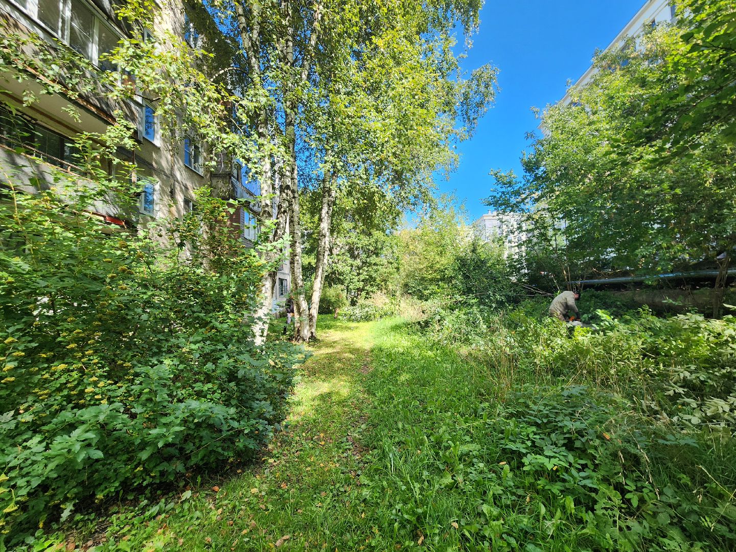 сергиево-посадский городской округ, хотьково, благоустройство, опиловка деревьев, уборка територии,