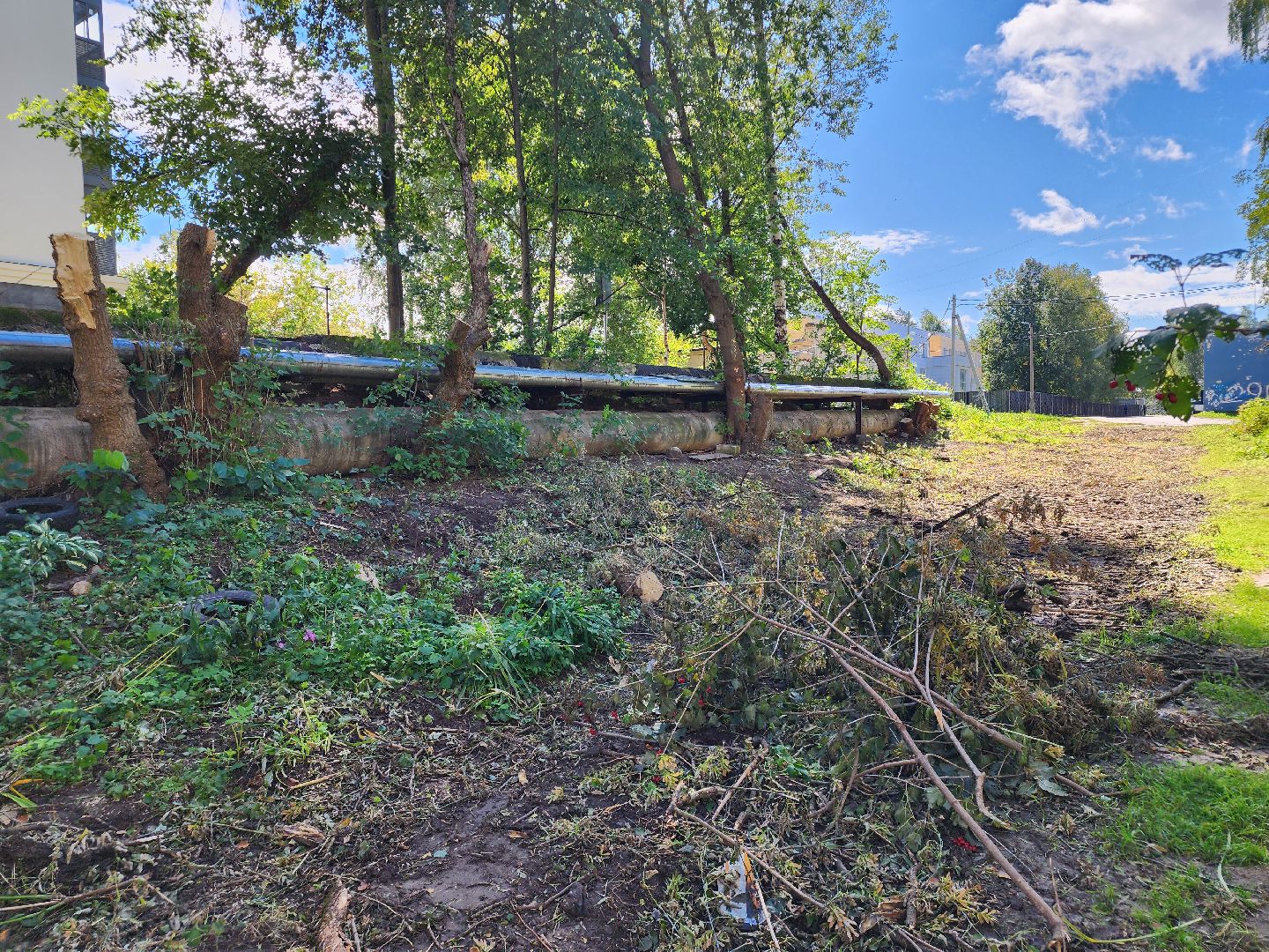 сергиево-посадский городской округ, хотьково, благоустройство, опиловка деревьев, уборка територии,