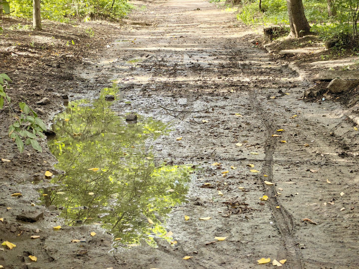 ливневая канализация, дорога, улица, детский сад, дождь,