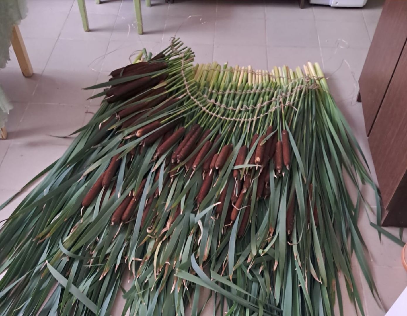 красноармейск, городской округ пушкинский, спасовский урожай, традиции, дары природы,