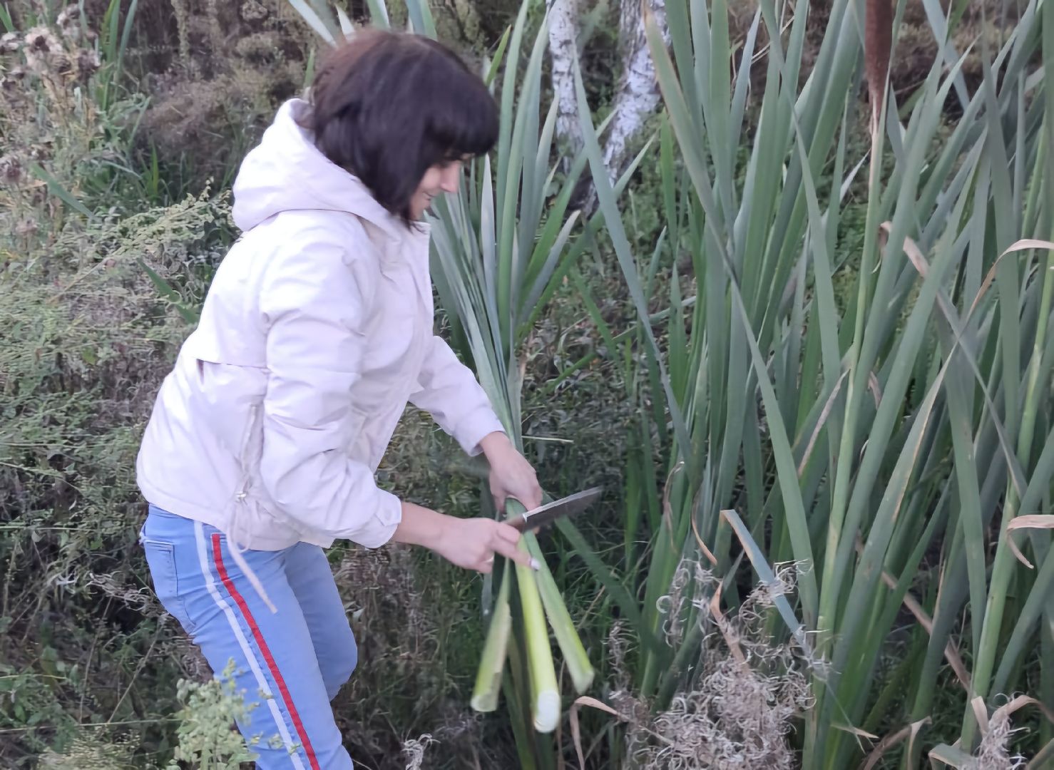 красноармейск, городской округ пушкинский, спасовский урожай, традиции, дары природы,