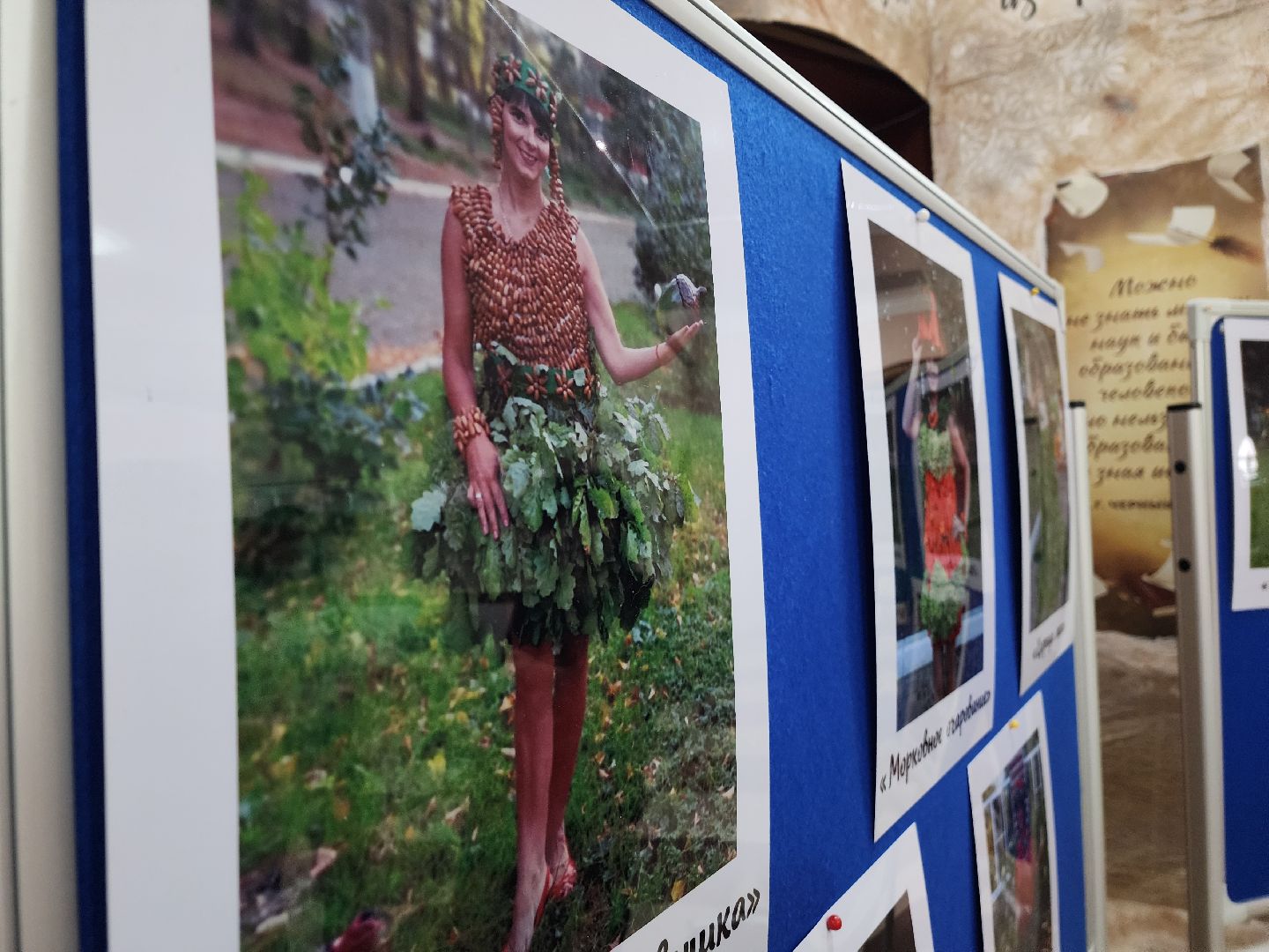 красноармейск, городской округ пушкинский, спасовский урожай, традиции, дары природы,