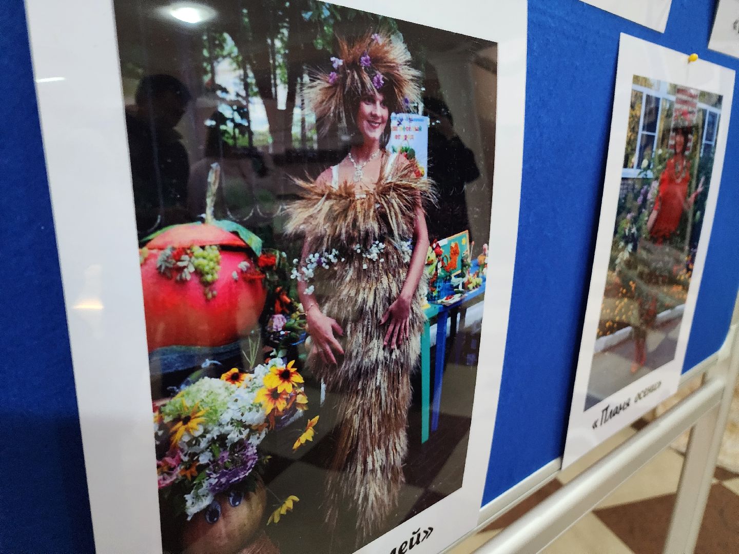 красноармейск, городской округ пушкинский, спасовский урожай, традиции, дары природы,