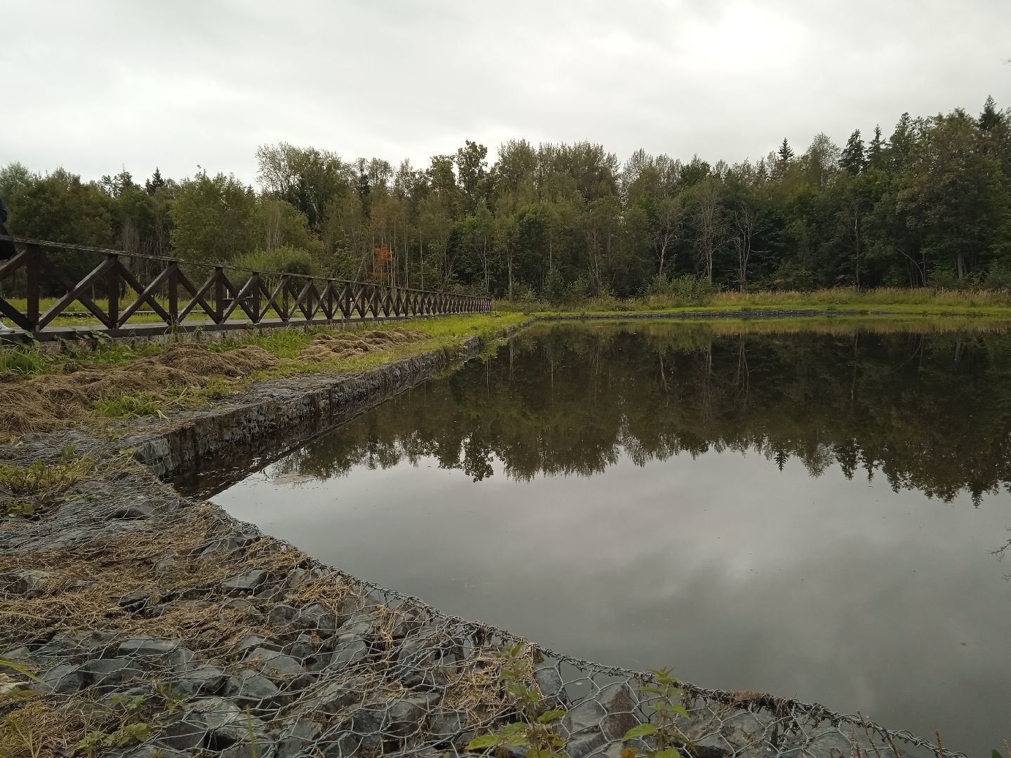 муниципальная экологическая программа, пруд, водоём, очистка водоема, городской округ восход, благоустройство,