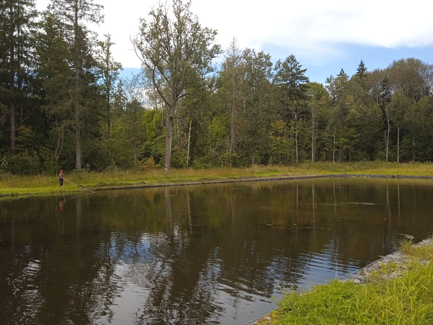 муниципальная экологическая программа, пруд, водоём, очистка водоема, городской округ восход, благоустройство,