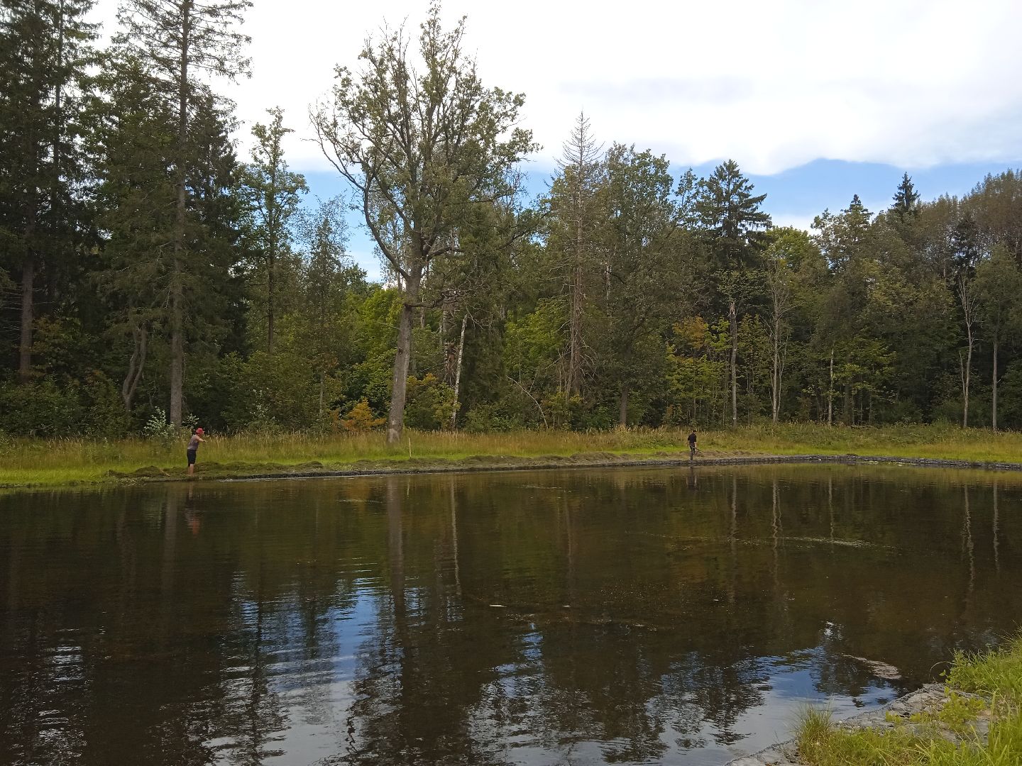 муниципальная экологическая программа, пруд, водоём, очистка водоема, городской округ восход, благоустройство,