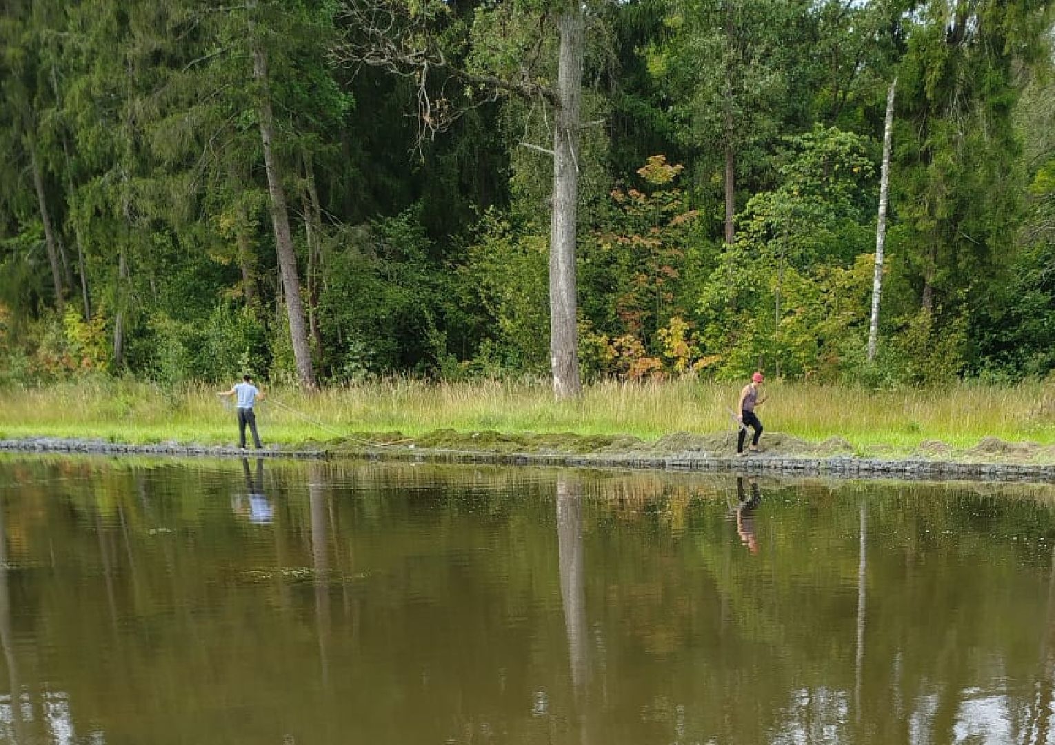 муниципальная экологическая программа, пруд, водоём, очистка водоема, городской округ восход, благоустройство,