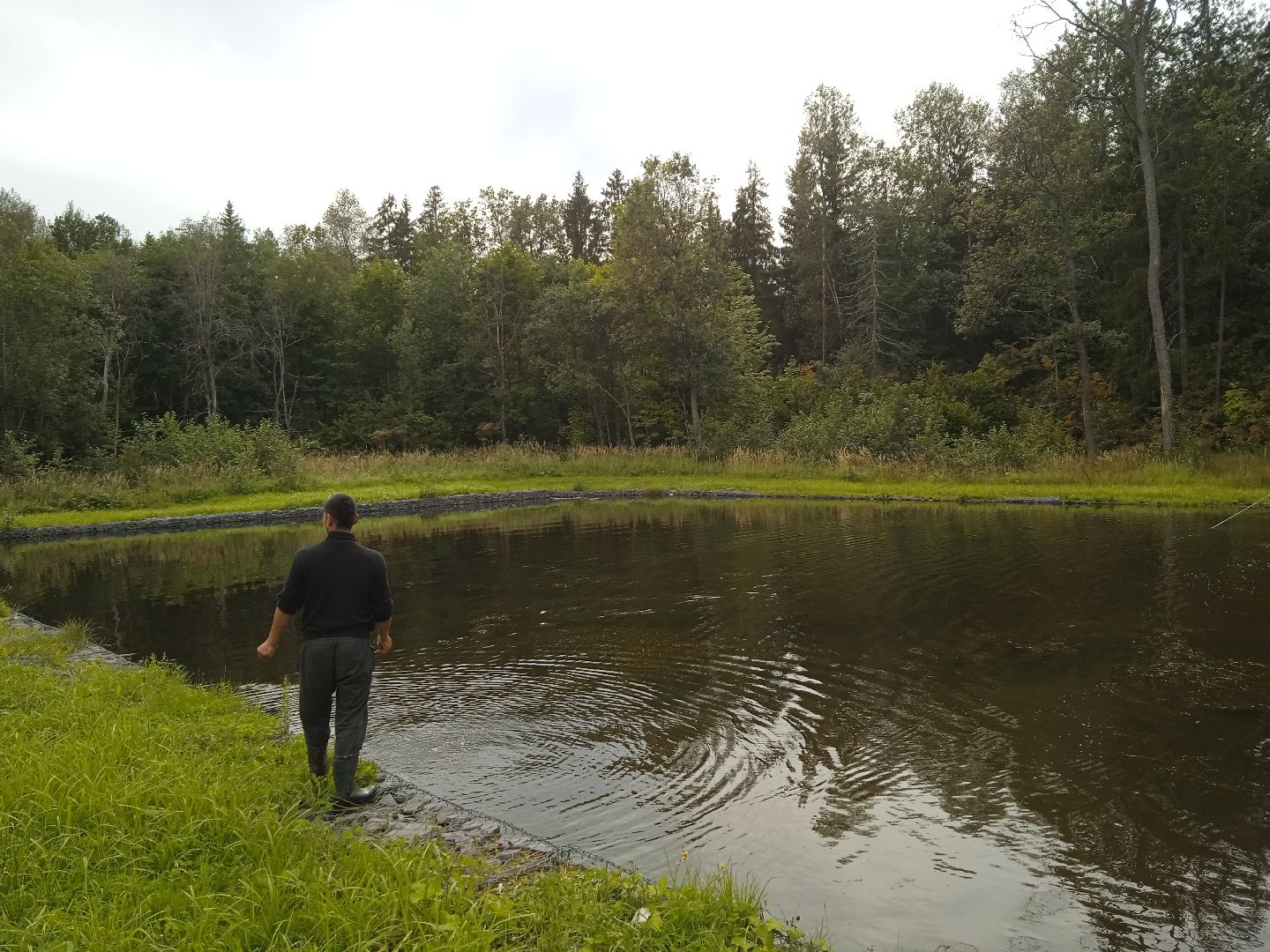 муниципальная экологическая программа, пруд, водоём, очистка водоема, городской округ восход, благоустройство,