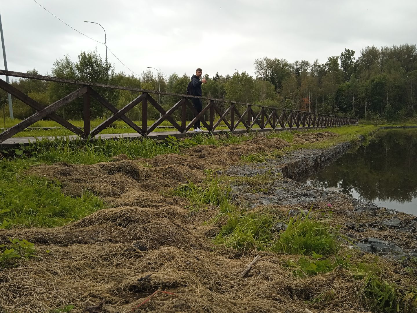 муниципальная экологическая программа, пруд, водоём, очистка водоема, городской округ восход, благоустройство,