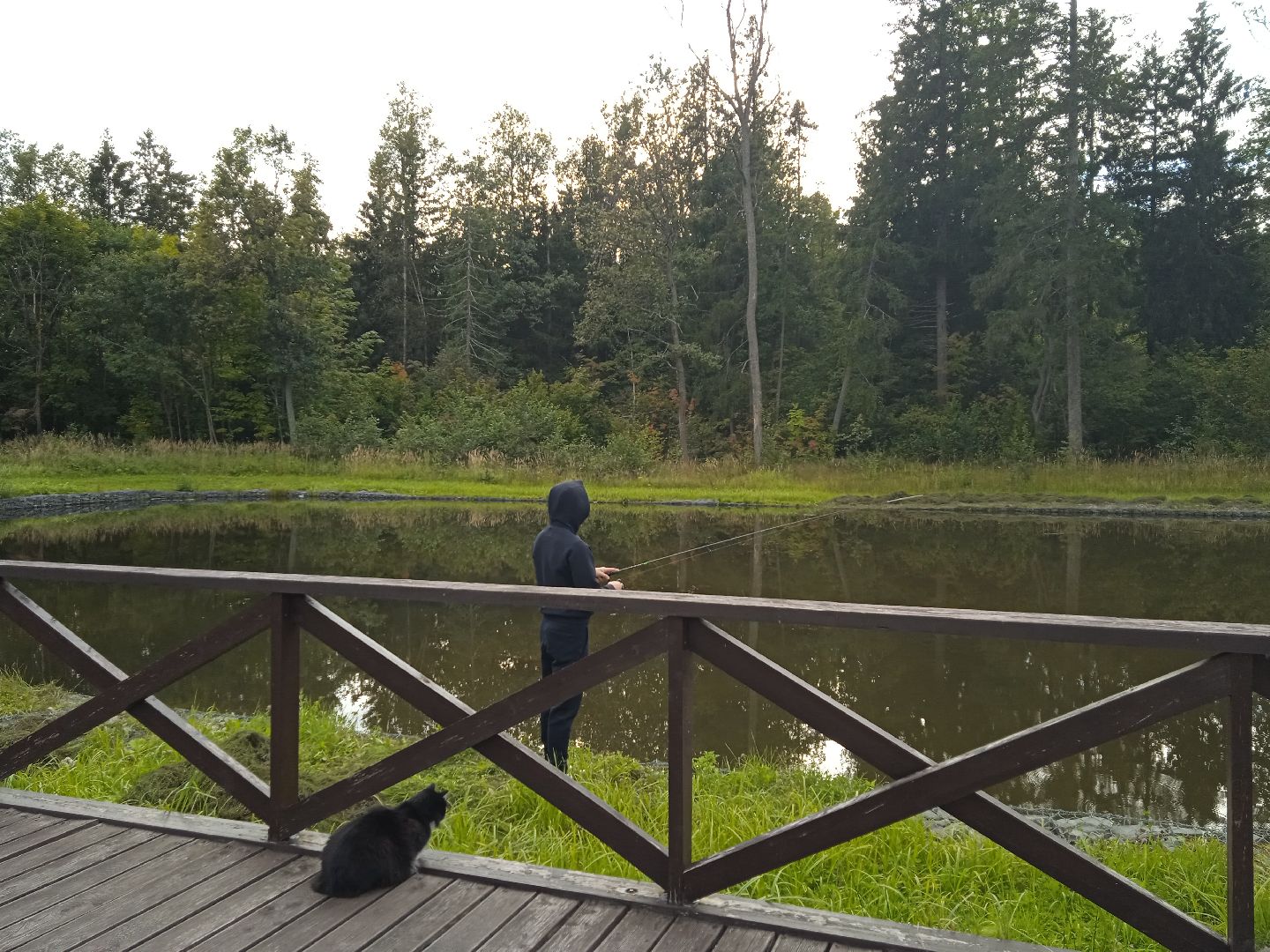 муниципальная экологическая программа, пруд, водоём, очистка водоема, городской округ восход, благоустройство,