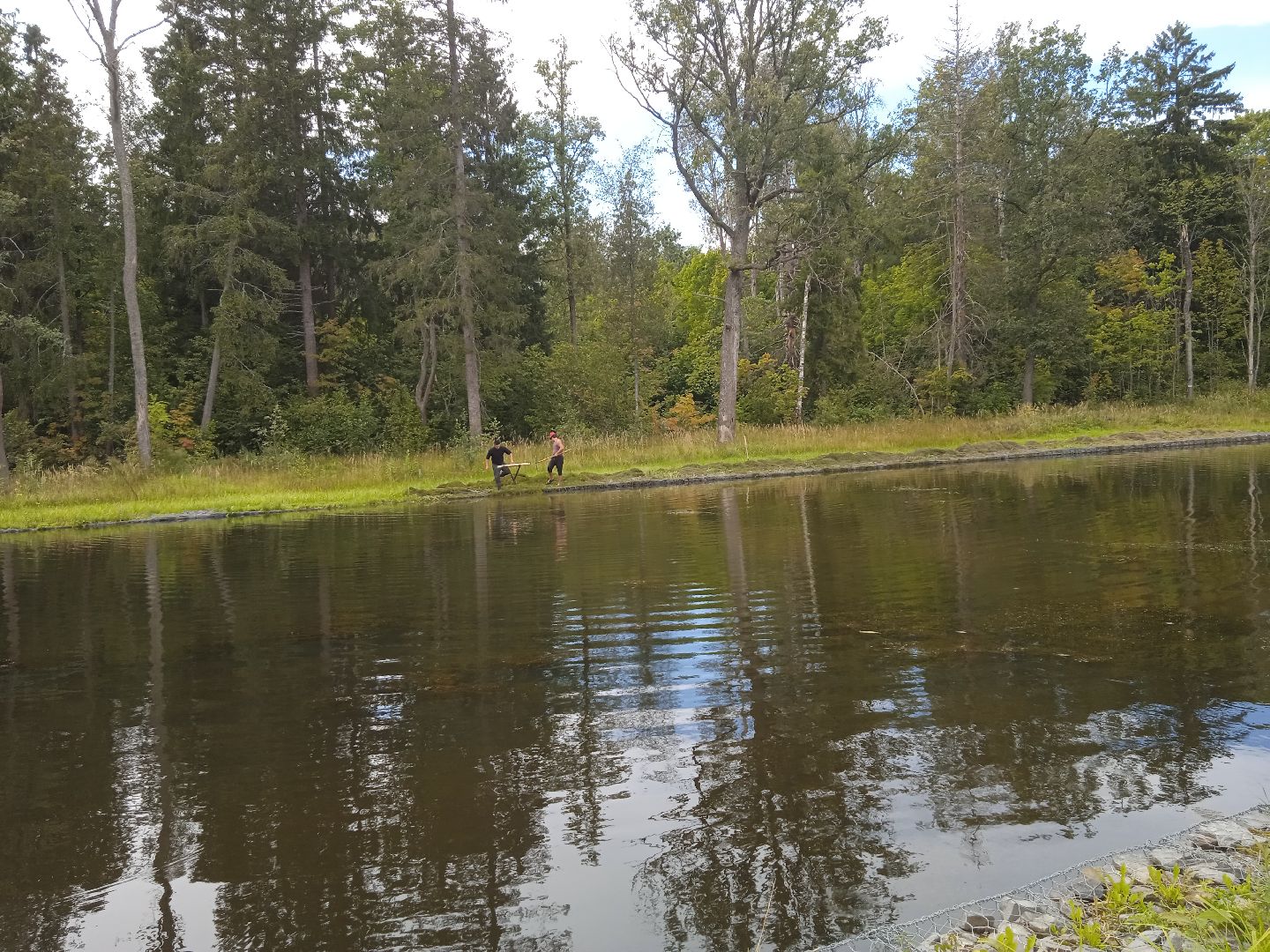 муниципальная экологическая программа, пруд, водоём, очистка водоема, городской округ восход, благоустройство,