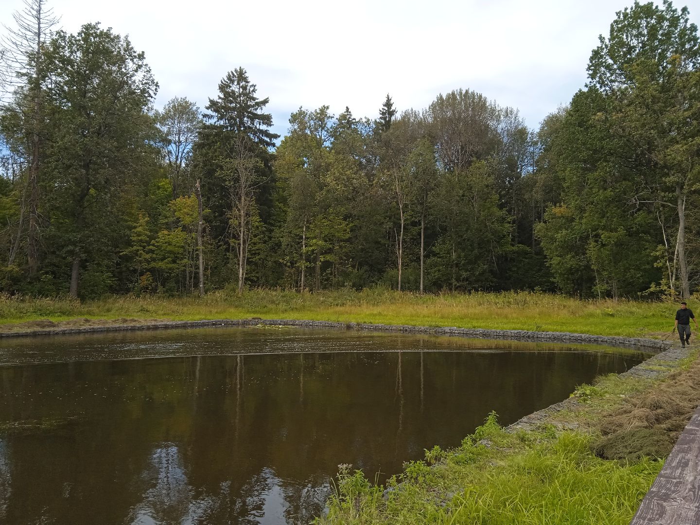муниципальная экологическая программа, пруд, водоём, очистка водоема, городской округ восход, благоустройство,