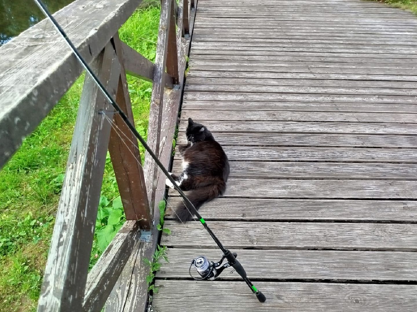 муниципальная экологическая программа, пруд, водоём, очистка водоема, городской округ восход, благоустройство,