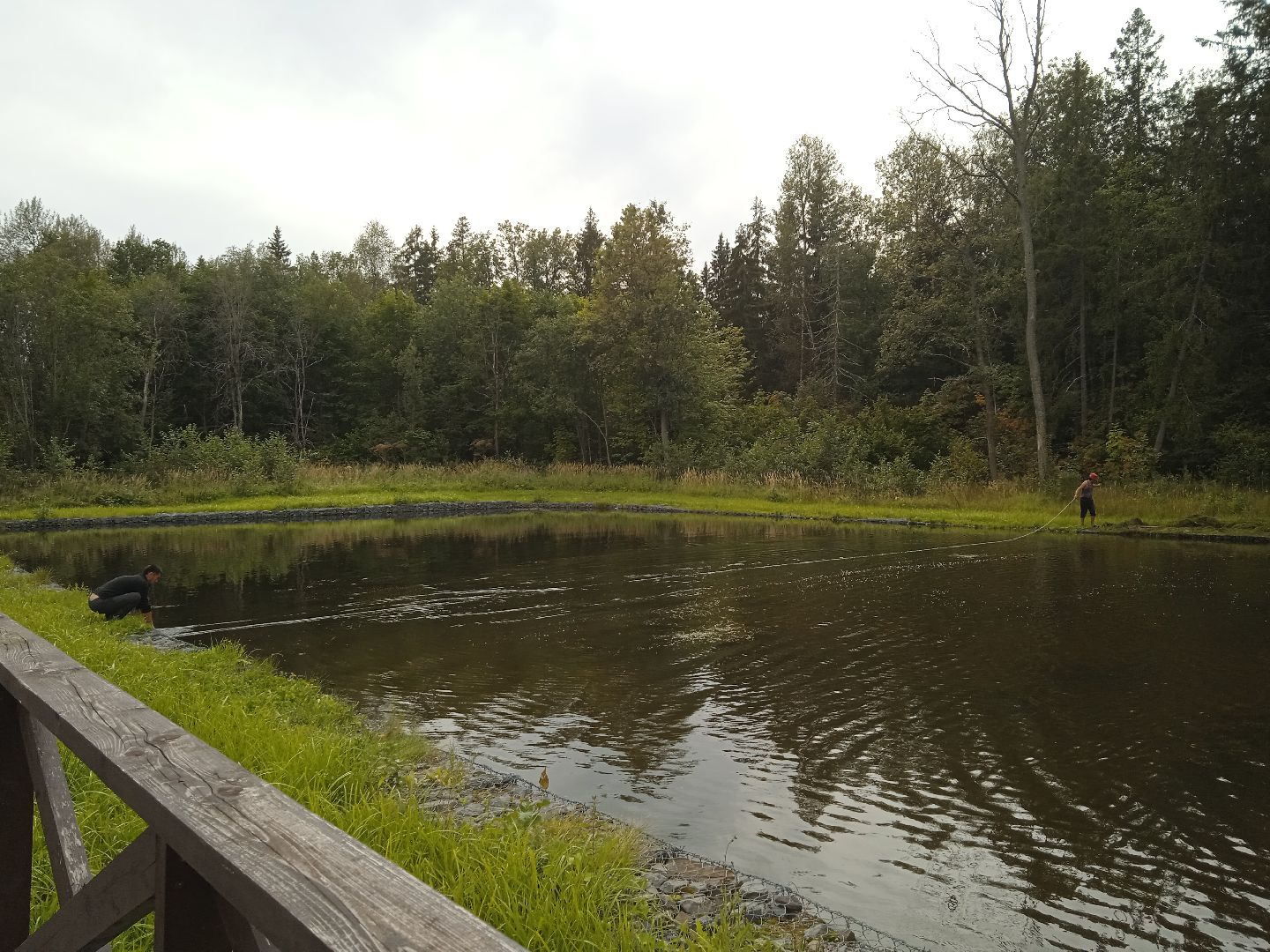 муниципальная экологическая программа, пруд, водоём, очистка водоема, городской округ восход, благоустройство,