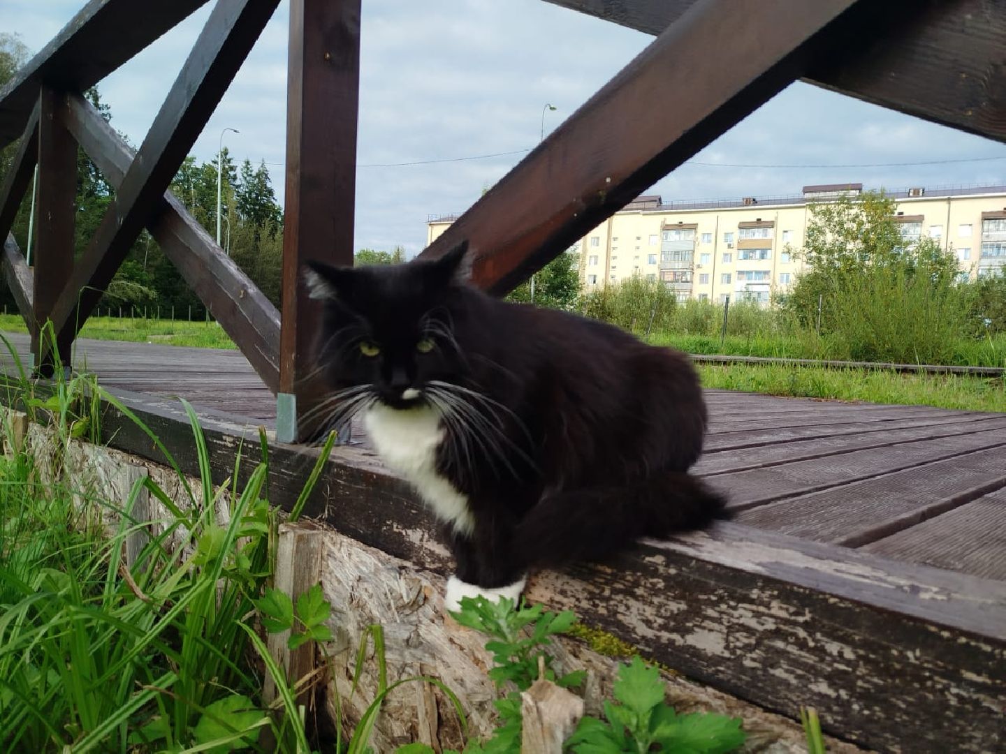 муниципальная экологическая программа, пруд, водоём, очистка водоема, городской округ восход, благоустройство,