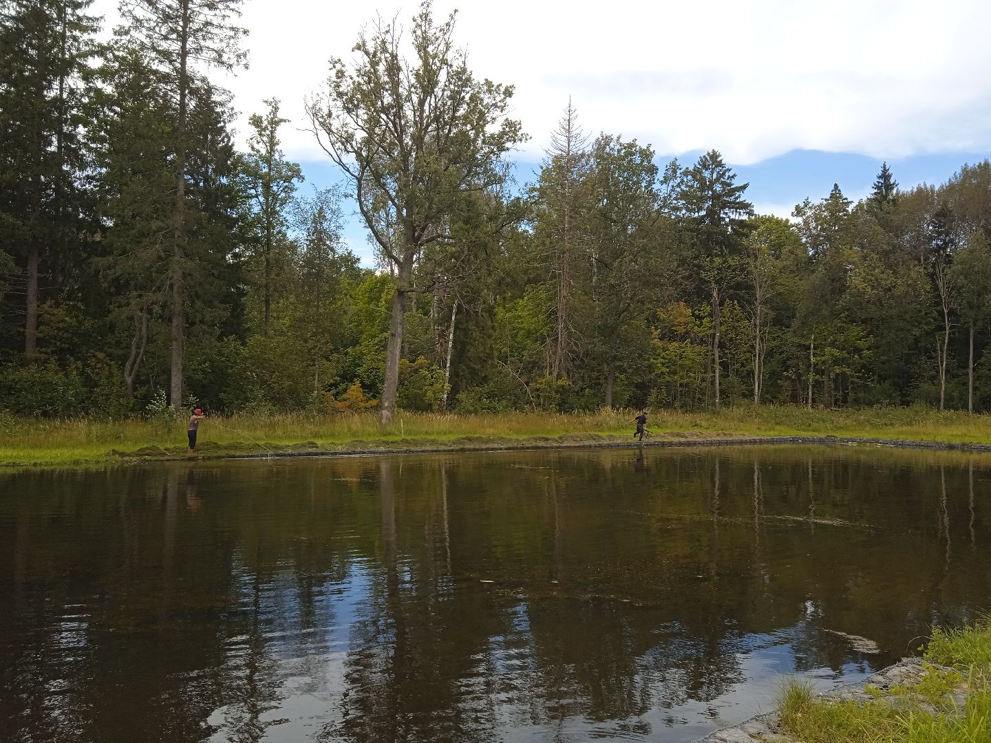 муниципальная экологическая программа, пруд, водоём, очистка водоема, городской округ восход, благоустройство,