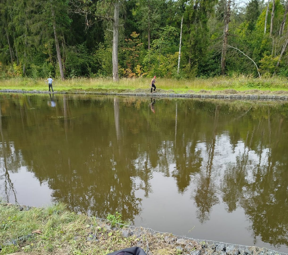 муниципальная экологическая программа, пруд, водоём, очистка водоема, городской округ восход, благоустройство,