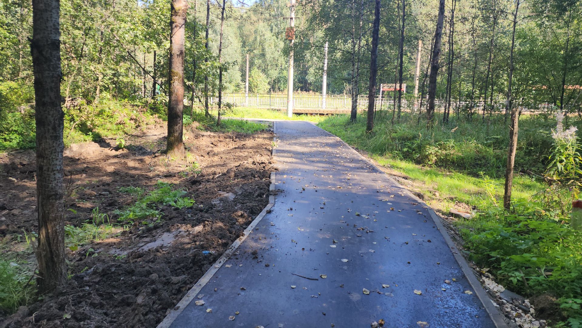 софрино, вертикалки, народная тропа, пешком в подмосковье, благоустройство, асфальтовая крошка, асфальтовое покрытие, тротуар, дорожка, деревня, станция,