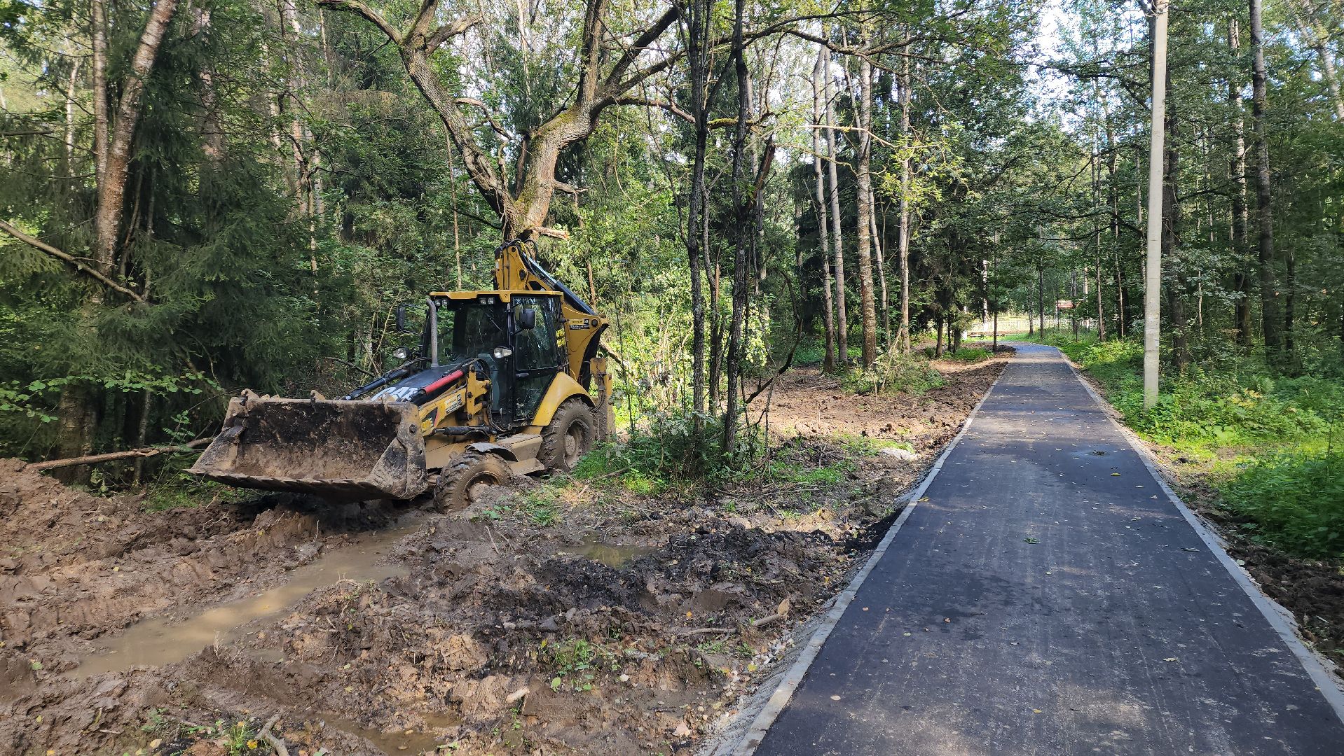 софрино, вертикалки, народная тропа, пешком в подмосковье, благоустройство, асфальтовая крошка, асфальтовое покрытие, тротуар, дорожка, деревня, станция,