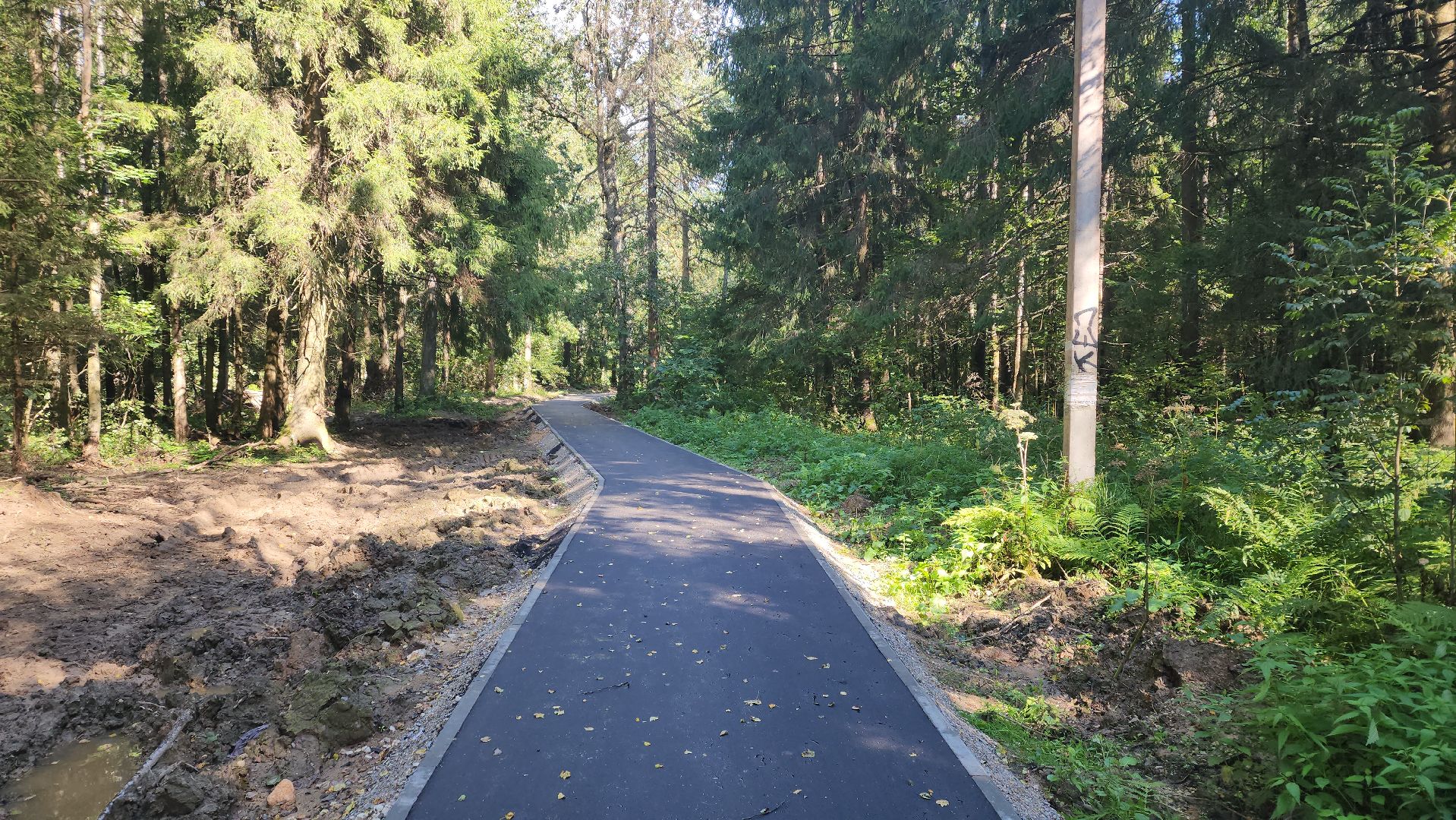 софрино, вертикалки, народная тропа, пешком в подмосковье, благоустройство, асфальтовая крошка, асфальтовое покрытие, тротуар, дорожка, деревня, станция,