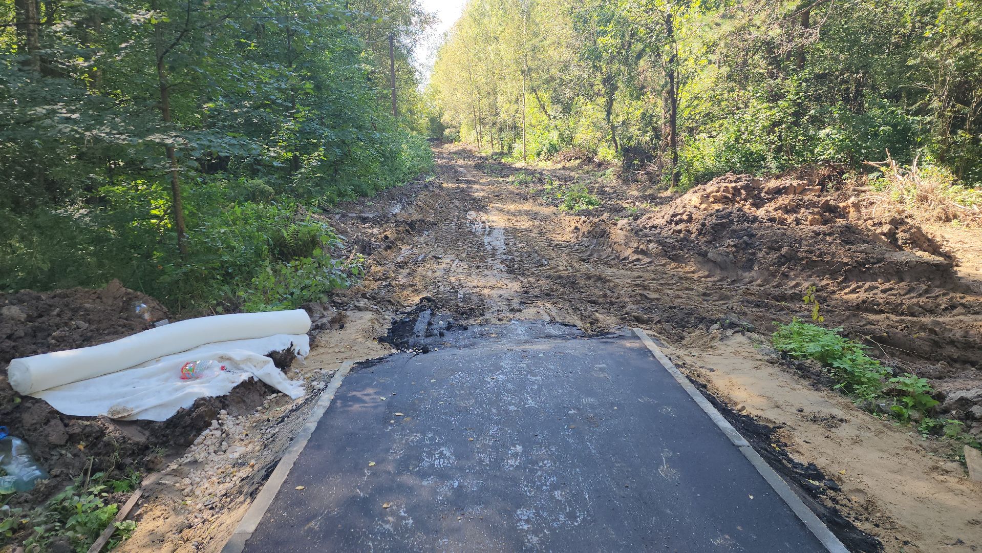 софрино, вертикалки, народная тропа, пешком в подмосковье, благоустройство, асфальтовая крошка, асфальтовое покрытие, тротуар, дорожка, деревня, станция,