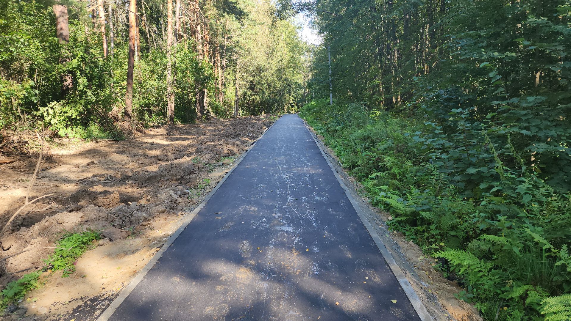 софрино, вертикалки, народная тропа, пешком в подмосковье, благоустройство, асфальтовая крошка, асфальтовое покрытие, тротуар, дорожка, деревня, станция,