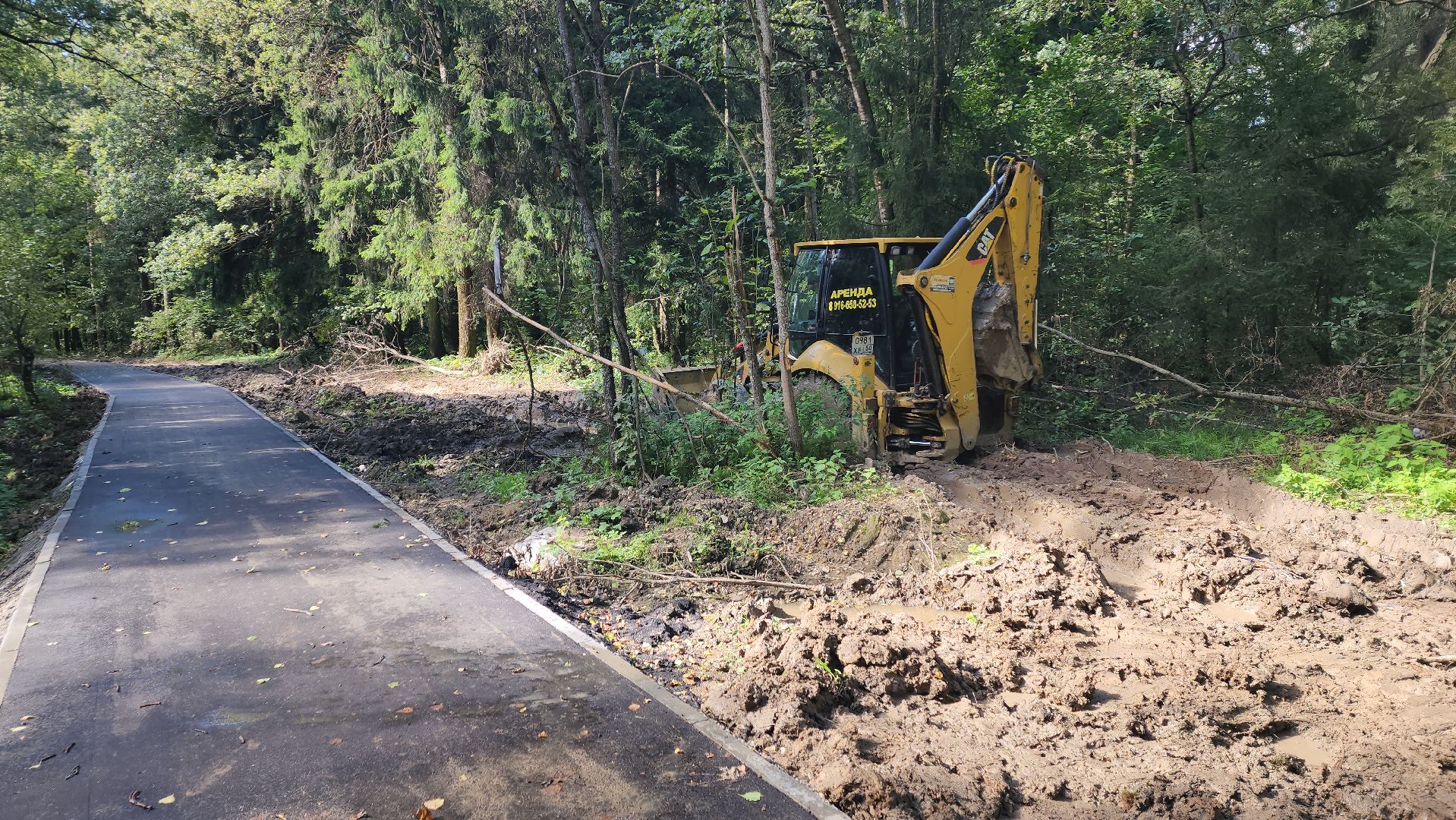 софрино, вертикалки, народная тропа, пешком в подмосковье, благоустройство, асфальтовая крошка, асфальтовое покрытие, тротуар, дорожка, деревня, станция,