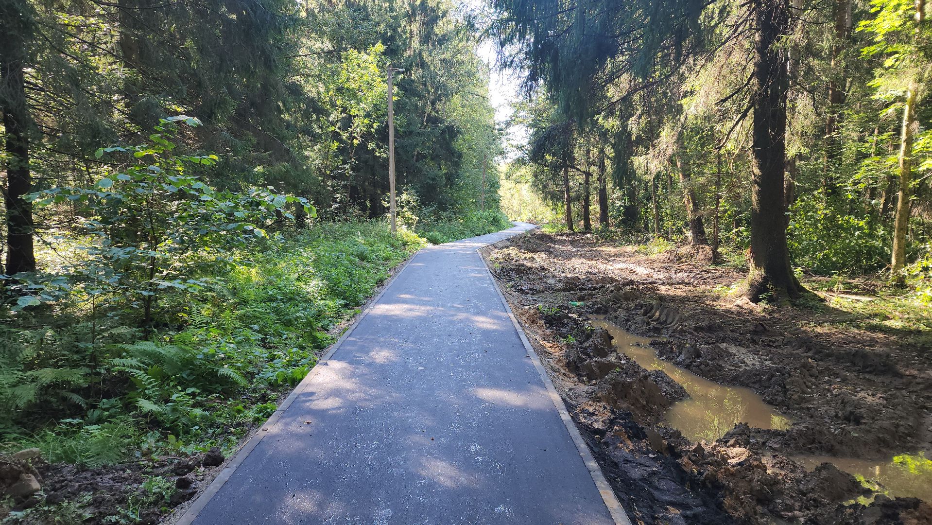 софрино, вертикалки, народная тропа, пешком в подмосковье, благоустройство, асфальтовая крошка, асфальтовое покрытие, тротуар, дорожка, деревня, станция,