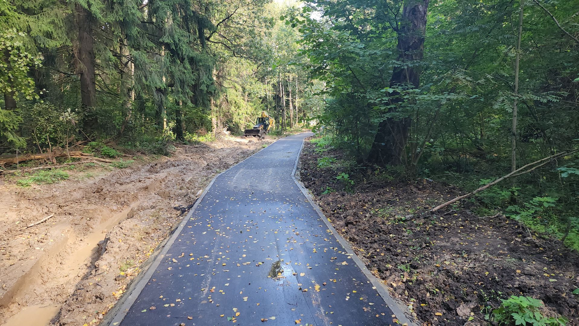 софрино, вертикалки, народная тропа, пешком в подмосковье, благоустройство, асфальтовая крошка, асфальтовое покрытие, тротуар, дорожка, деревня, станция,