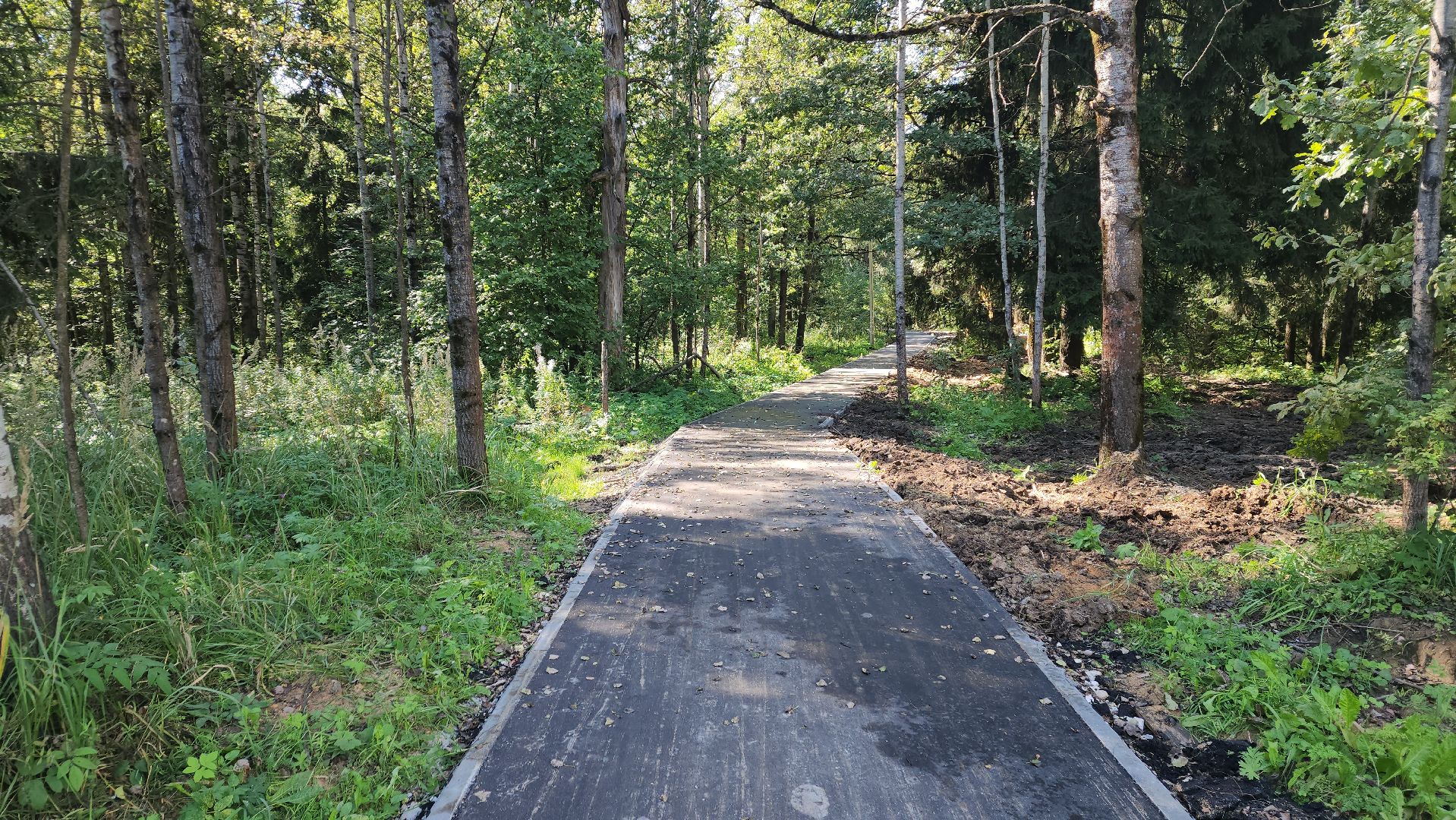софрино, вертикалки, народная тропа, пешком в подмосковье, благоустройство, асфальтовая крошка, асфальтовое покрытие, тротуар, дорожка, деревня, станция,