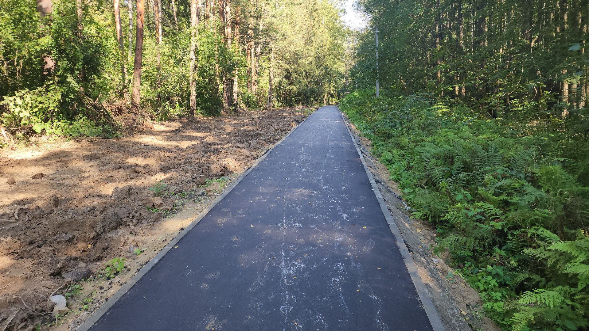 софрино, вертикалки, народная тропа, пешком в подмосковье, благоустройство, асфальтовая крошка, асфальтовое покрытие, тротуар, дорожка, деревня, станция,