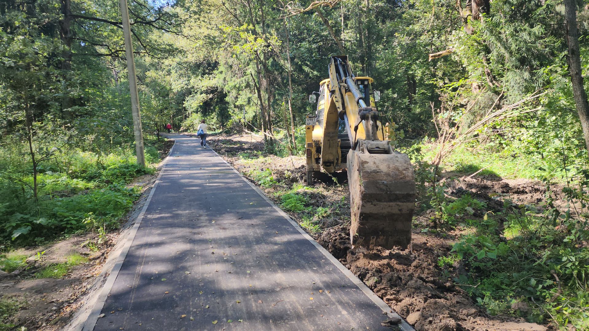 софрино, вертикалки, народная тропа, пешком в подмосковье, благоустройство, асфальтовая крошка, асфальтовое покрытие, тротуар, дорожка, деревня, станция,